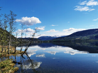 欢迎使用Z-BlogPHP！