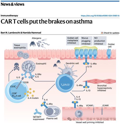 细胞治疗(CAR-T技术应用)(cart细胞治疗产业研究报告)