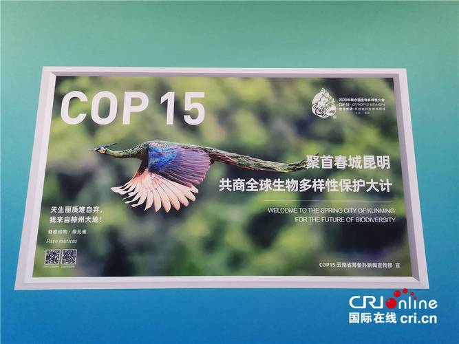 生物多样性保护(COP15后续行动)(cop15生物多样性海报)