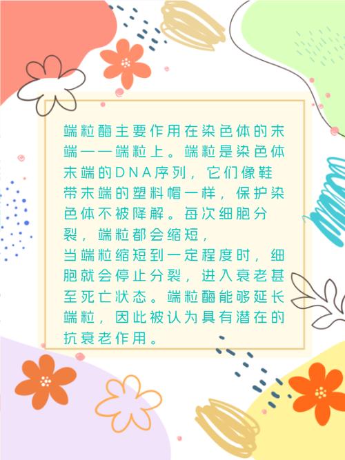 抗衰老研究（端粒酶激活）（端粒酶激活剂）