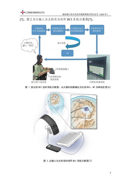 脑机接口(医疗康复应用)(脑机接口的原理与应用)
