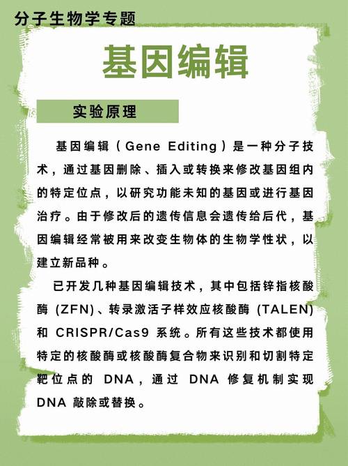 基因编辑保险(临床应用保障)(基因编辑产品是否安全)
