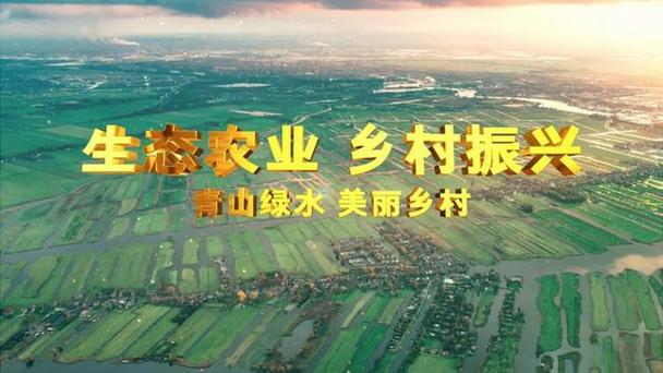 农业农村现代化推进（推进农业农村现代化措施）