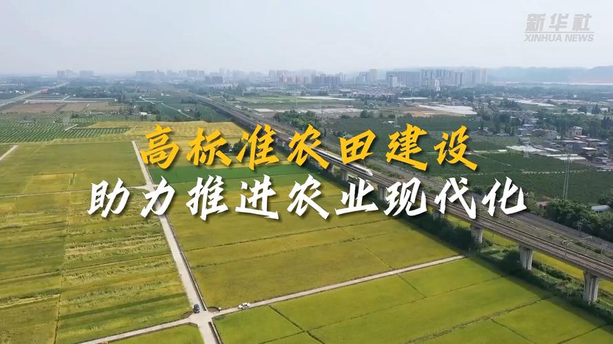 农业农村现代化推进（推进农业农村现代化措施）