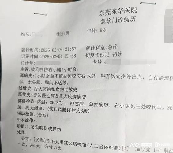 宠物伤人事件（2020年宠物伤人）