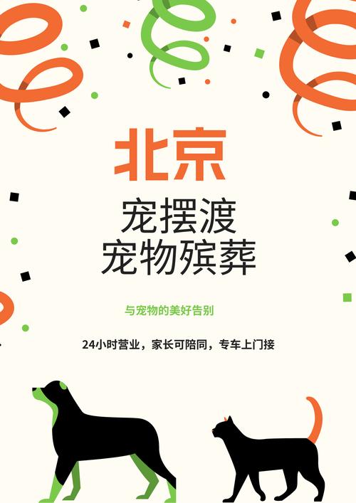 宠物殡葬规范化（宠物殡葬政策）