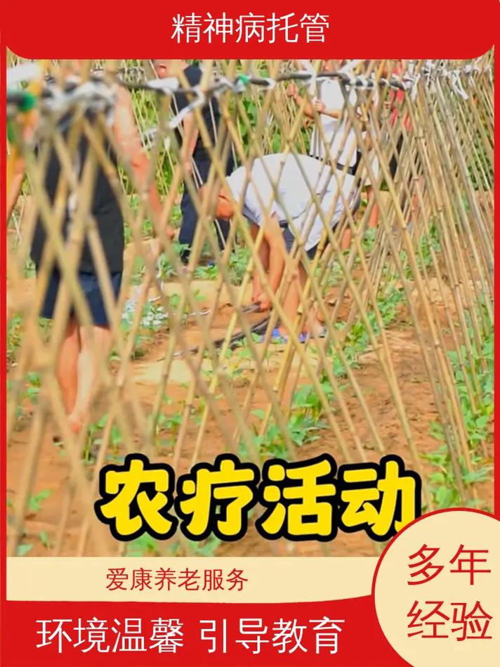 精神障碍患者托管（精神障碍患者托管服务中心注册手续）