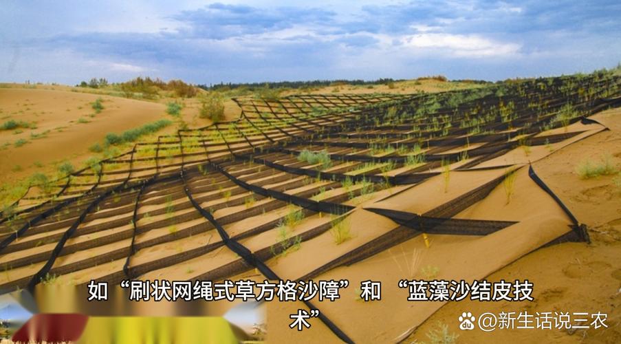 沙漠生态新发现(沙漠 生态)