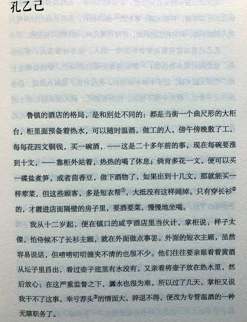 孔乙己文学的简单介绍