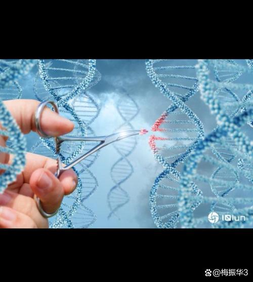 生物科技突破(基因编辑临床应用)(基因编辑生物谷)