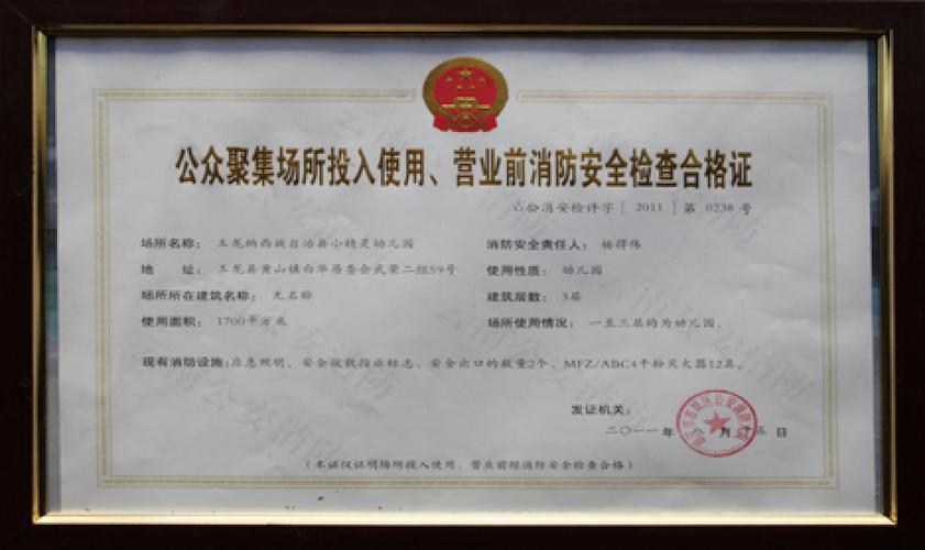 消防安全检查(消防安全检查合格证)