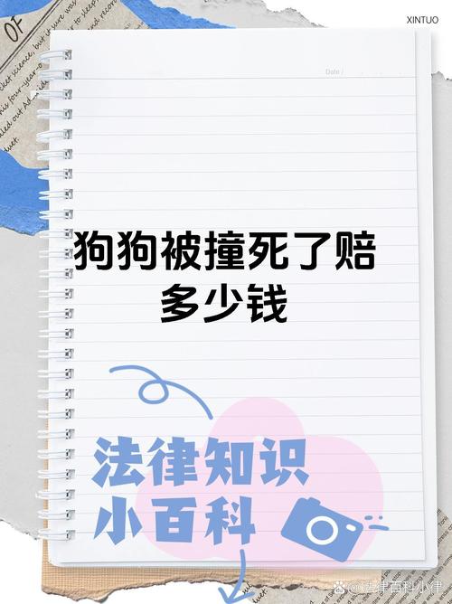 宠物被撞精神赔偿(宠物被撞伤后怎么赔偿)