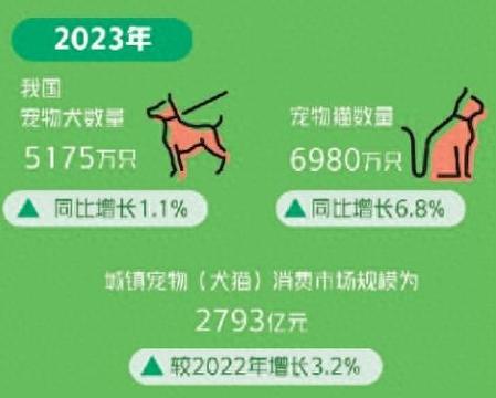 宠物人化消费（宠物人均消费）