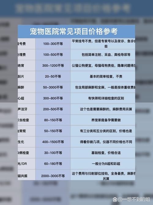 宠物人化消费（宠物人均消费）
