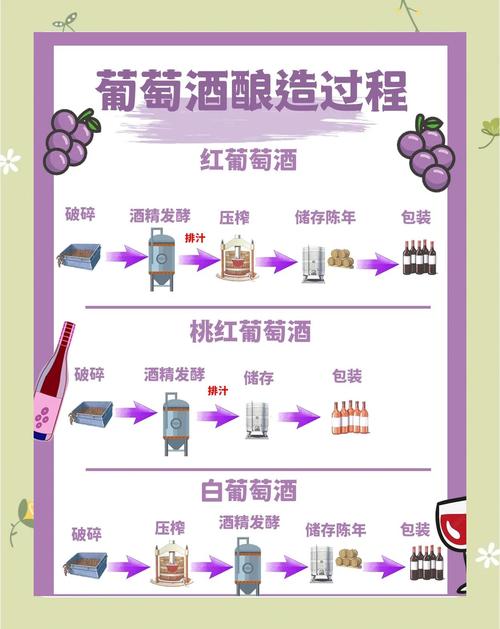 发酵原理(葡萄酒发酵原理)