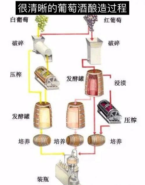 发酵原理(葡萄酒发酵原理)