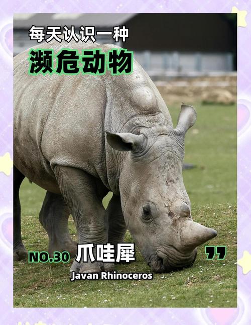 濒危物种(濒危物种的资料)