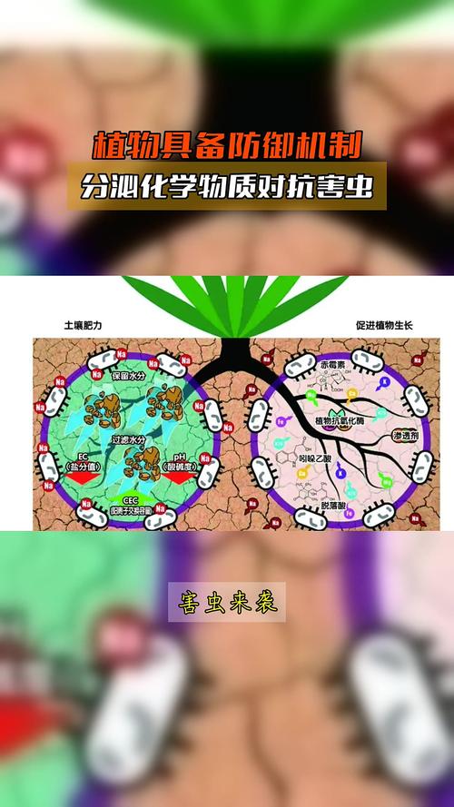 植物防御机制(植物防御机制有哪些)