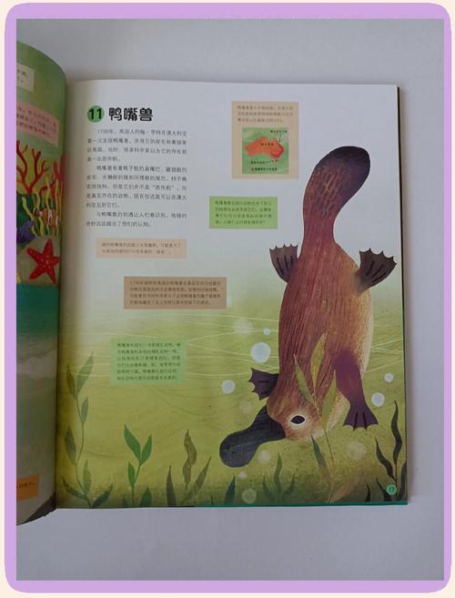 共生关系(共生关系的动物有哪些)