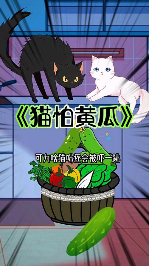 猫为什么怕黄瓜?(猫为什么怕黄瓜是真的吗)