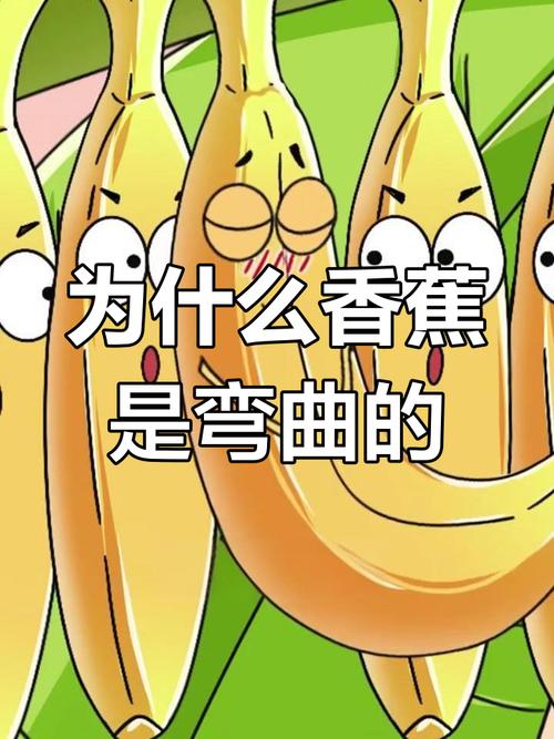 香蕉为什么是弯的?(香蕉为啥是弯的?)