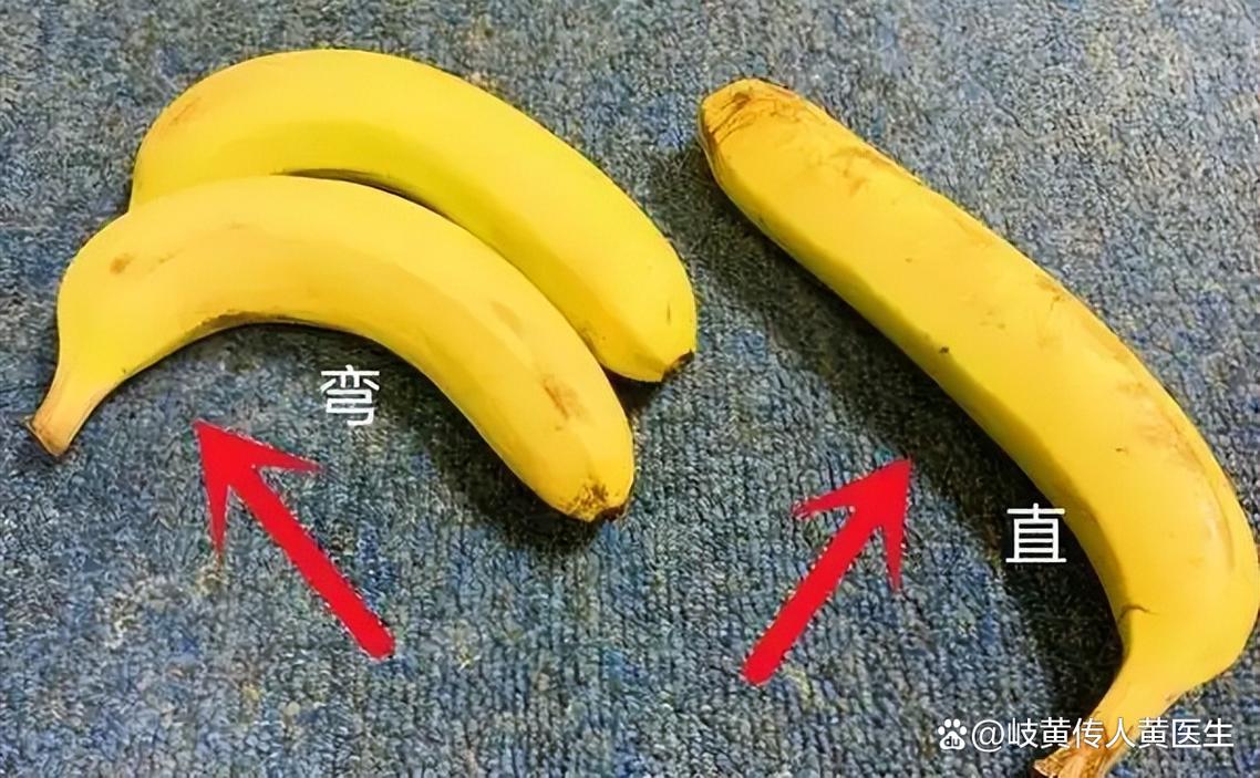香蕉为什么是弯的?(香蕉为啥是弯的?)