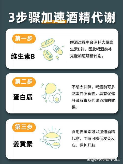 酒精代谢(酒精代谢速度)