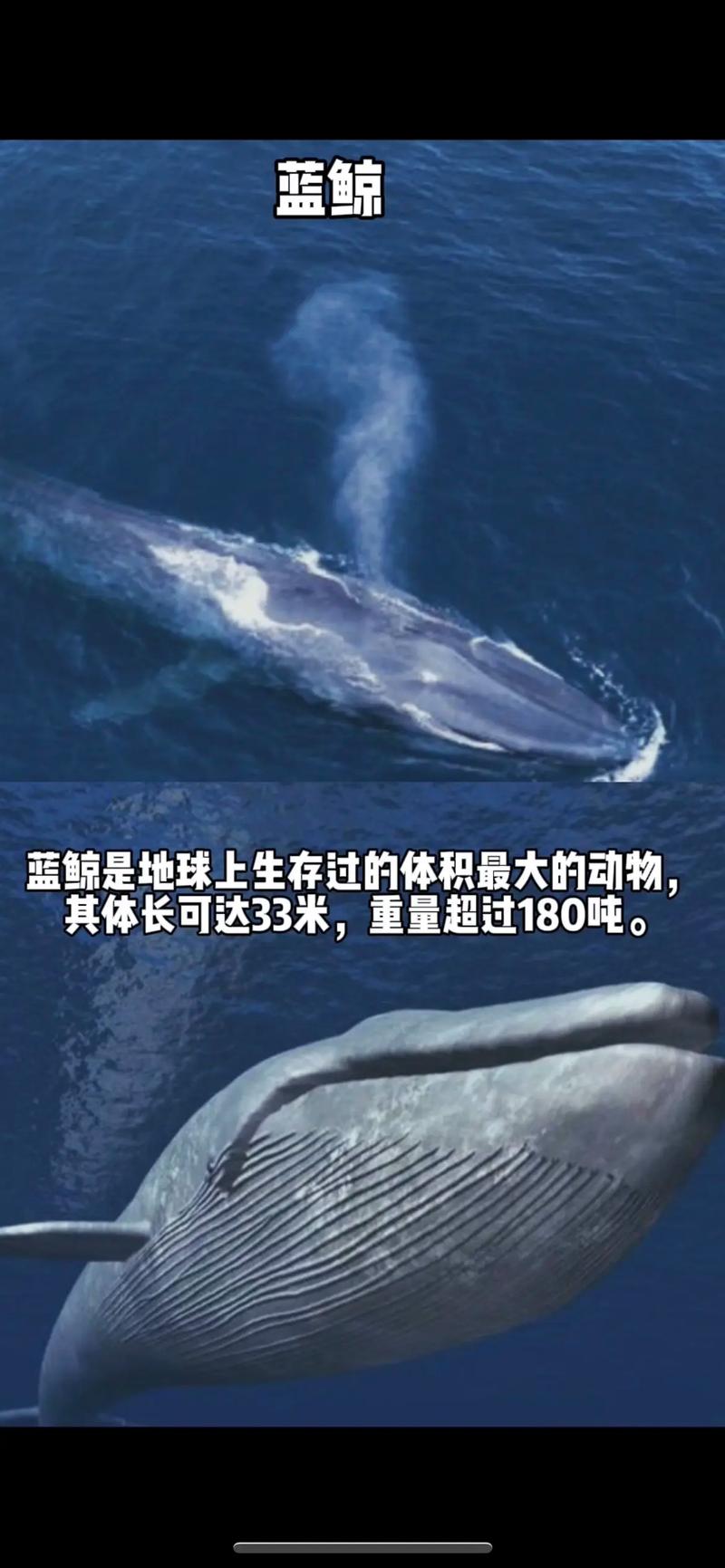 未解之谜(未解之谜网)