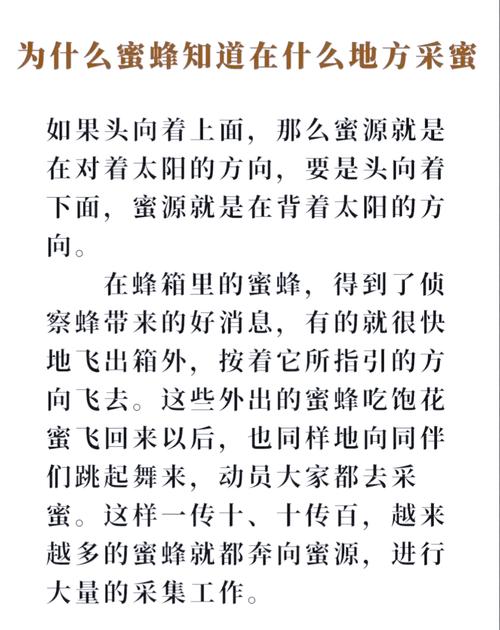 蜜蜂的舞蹈语言(蜜蜂的舞蹈语言主要用于什么)