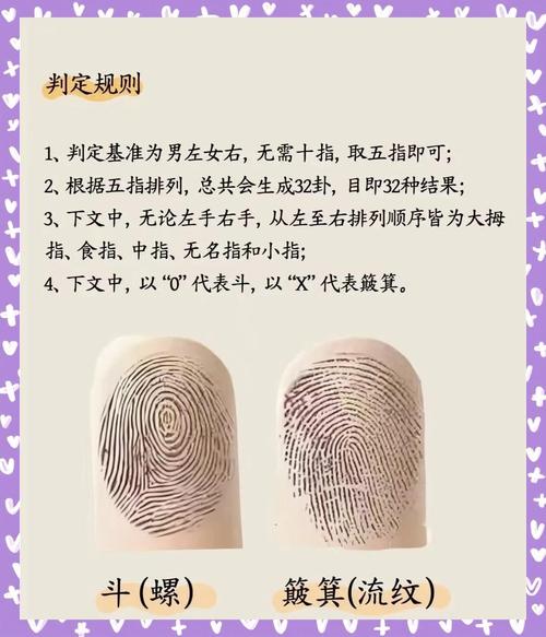 指纹的作用(指纹的作用有哪些至少说六个)