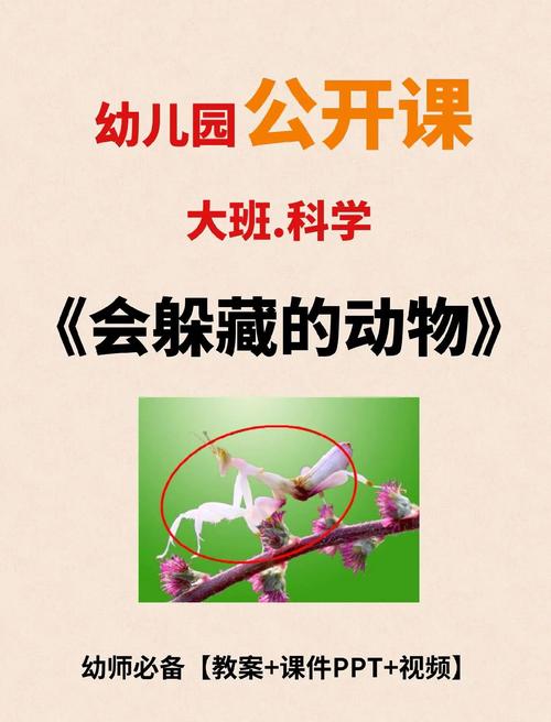 动物伪装术(动物伪装术大班科学教案反思)