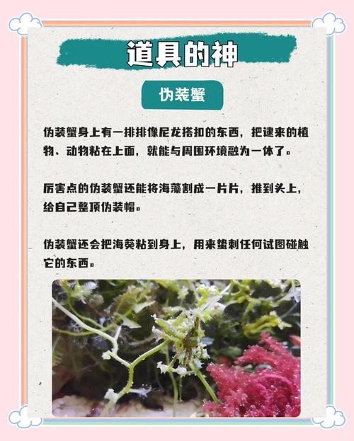 动物伪装术(动物伪装术大班科学教案反思)